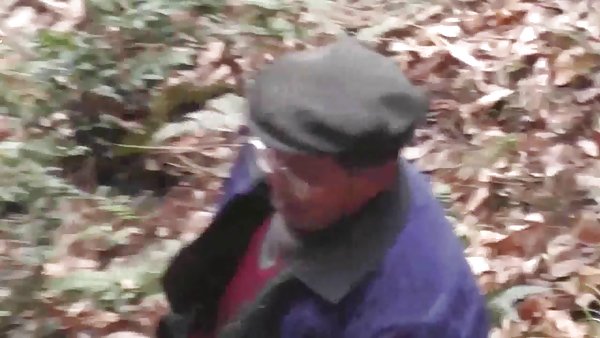 护送 爱达荷州的树林森林的甜点色情影片
